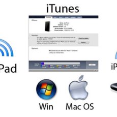 Синхронизация информации на устройствах Apple в приложении iTunes через персональный компьютер