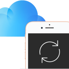 Сведения о хранении информации в приложении iCloud и на самом устройстве